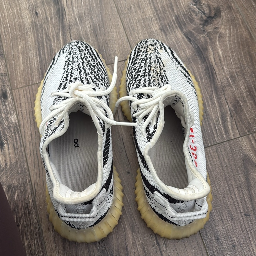 Yeezy - Picture 4 of 6